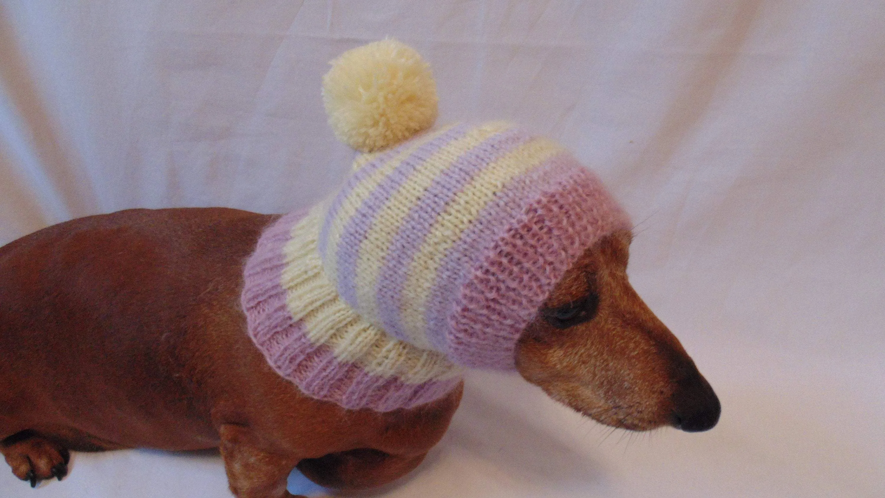 Hat dog Angora warm winter with pompom