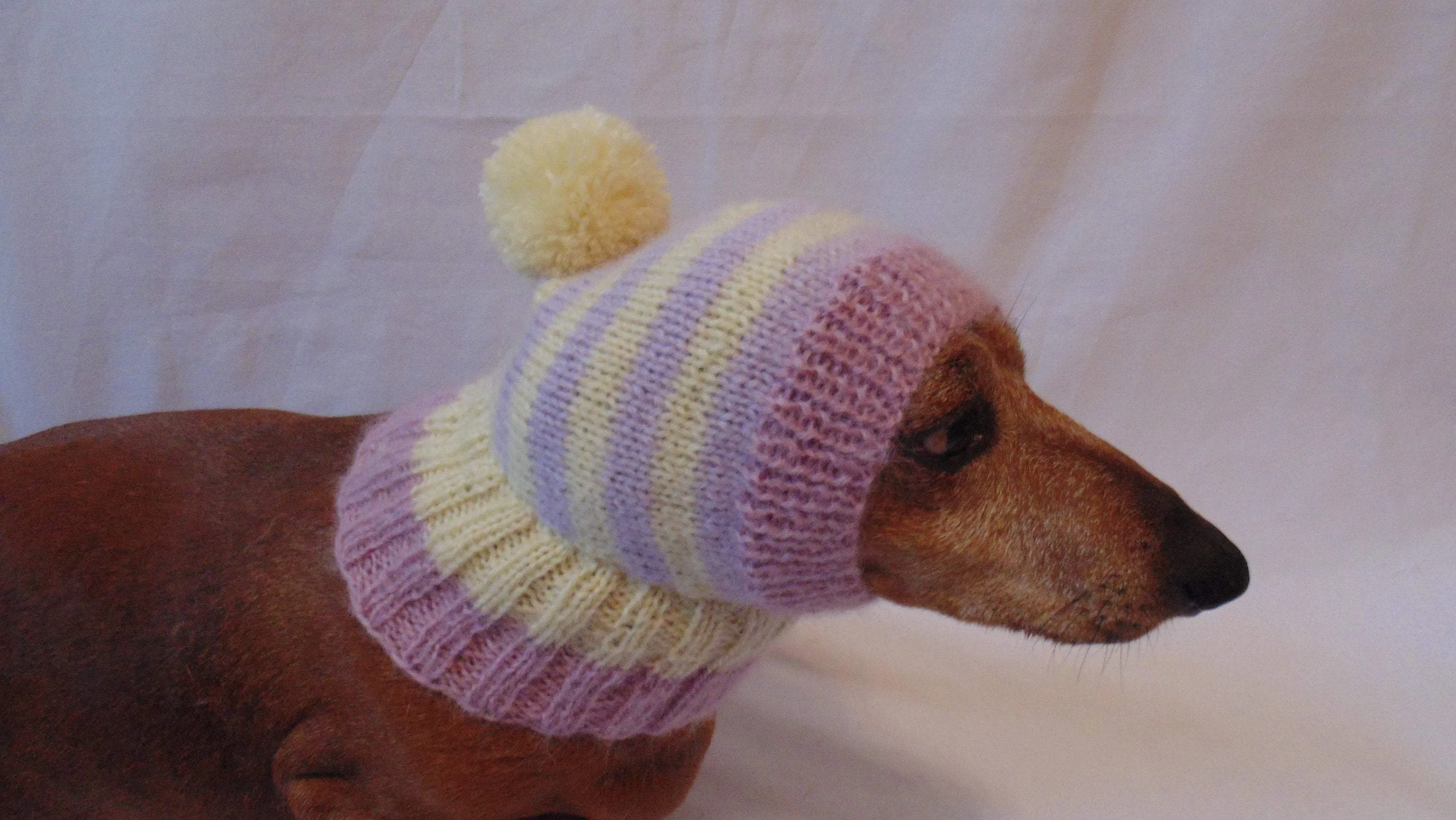 Hat dog Angora warm winter with pompom