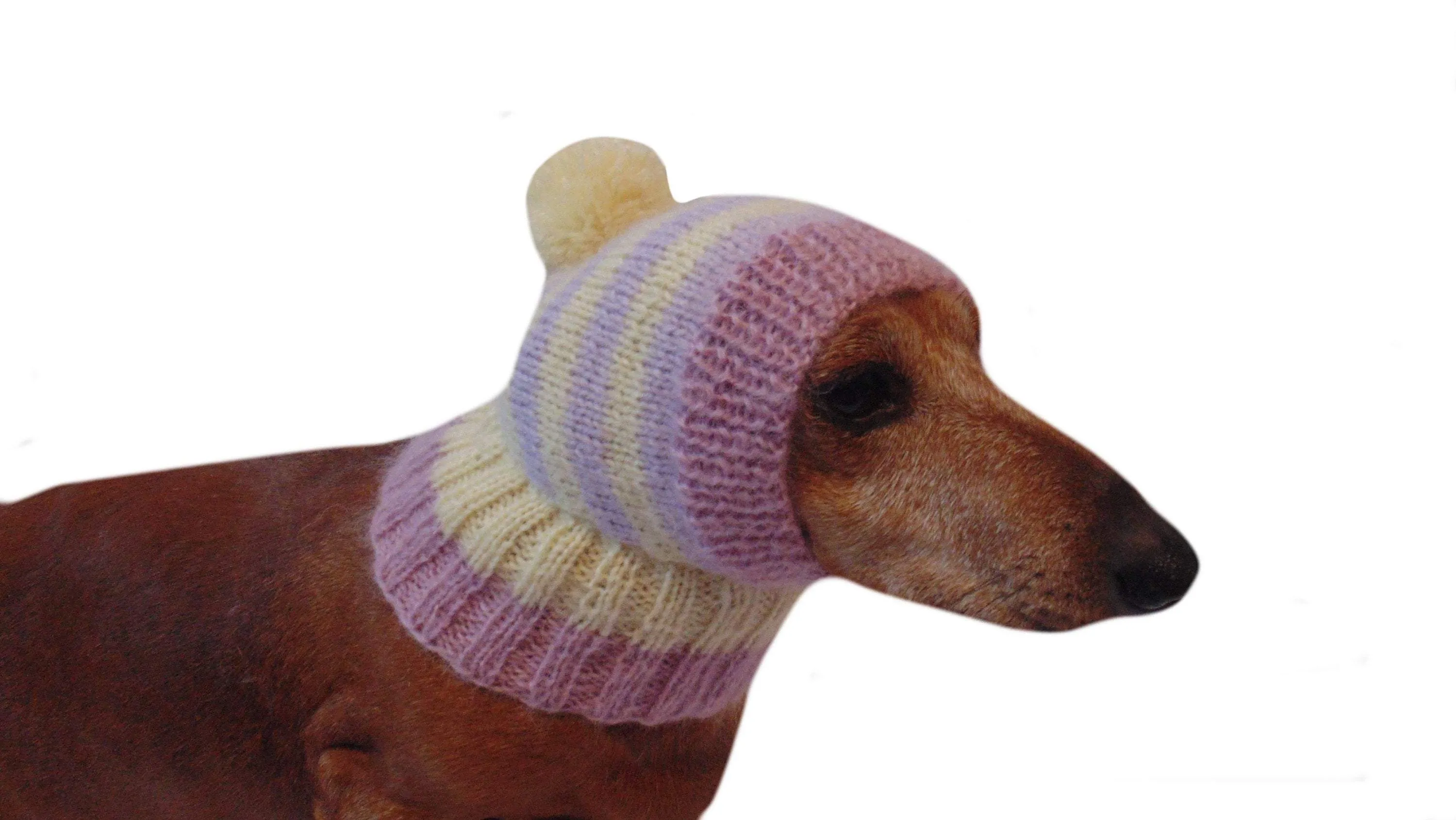 Hat dog Angora warm winter with pompom