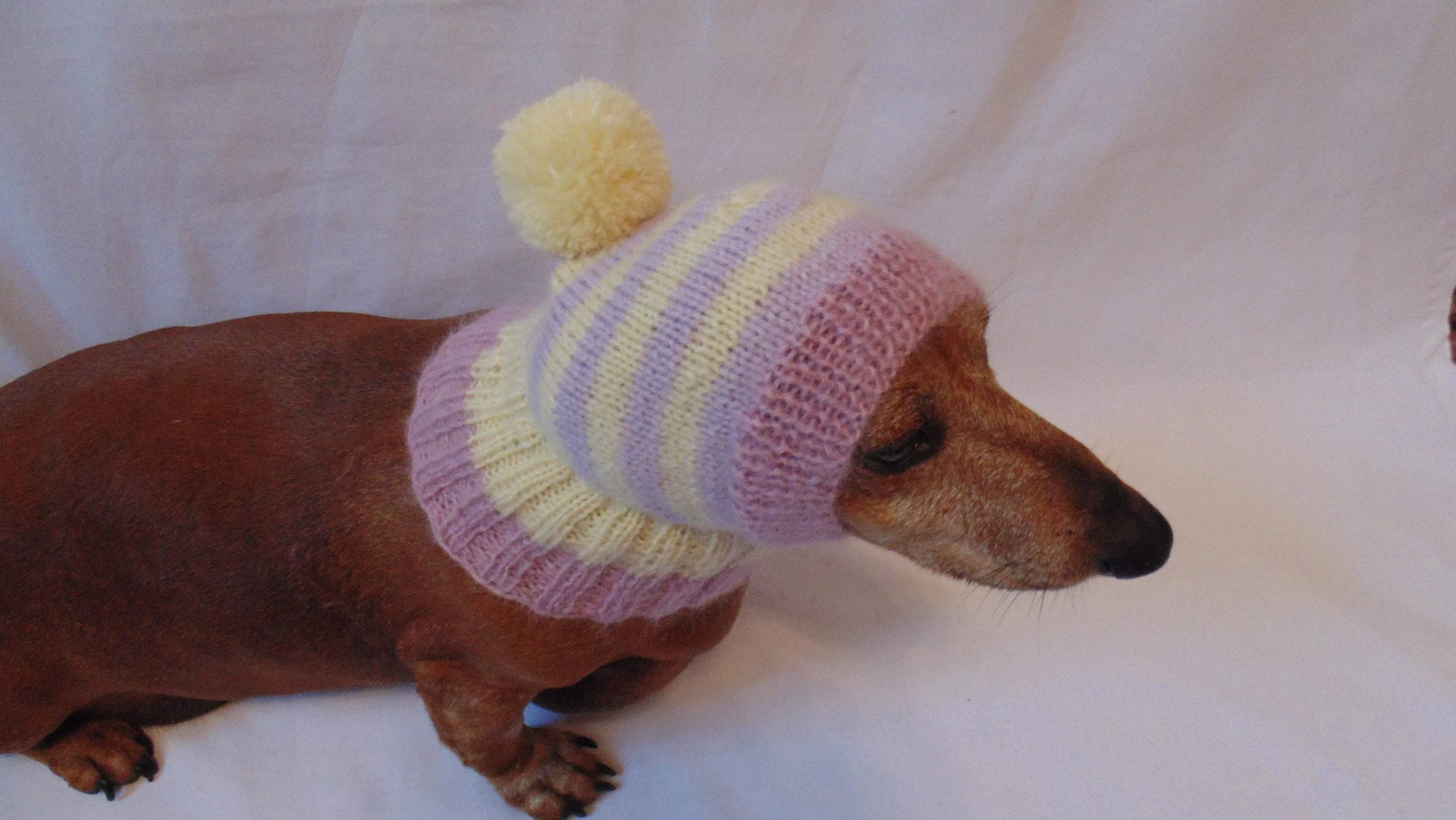 Hat dog Angora warm winter with pompom