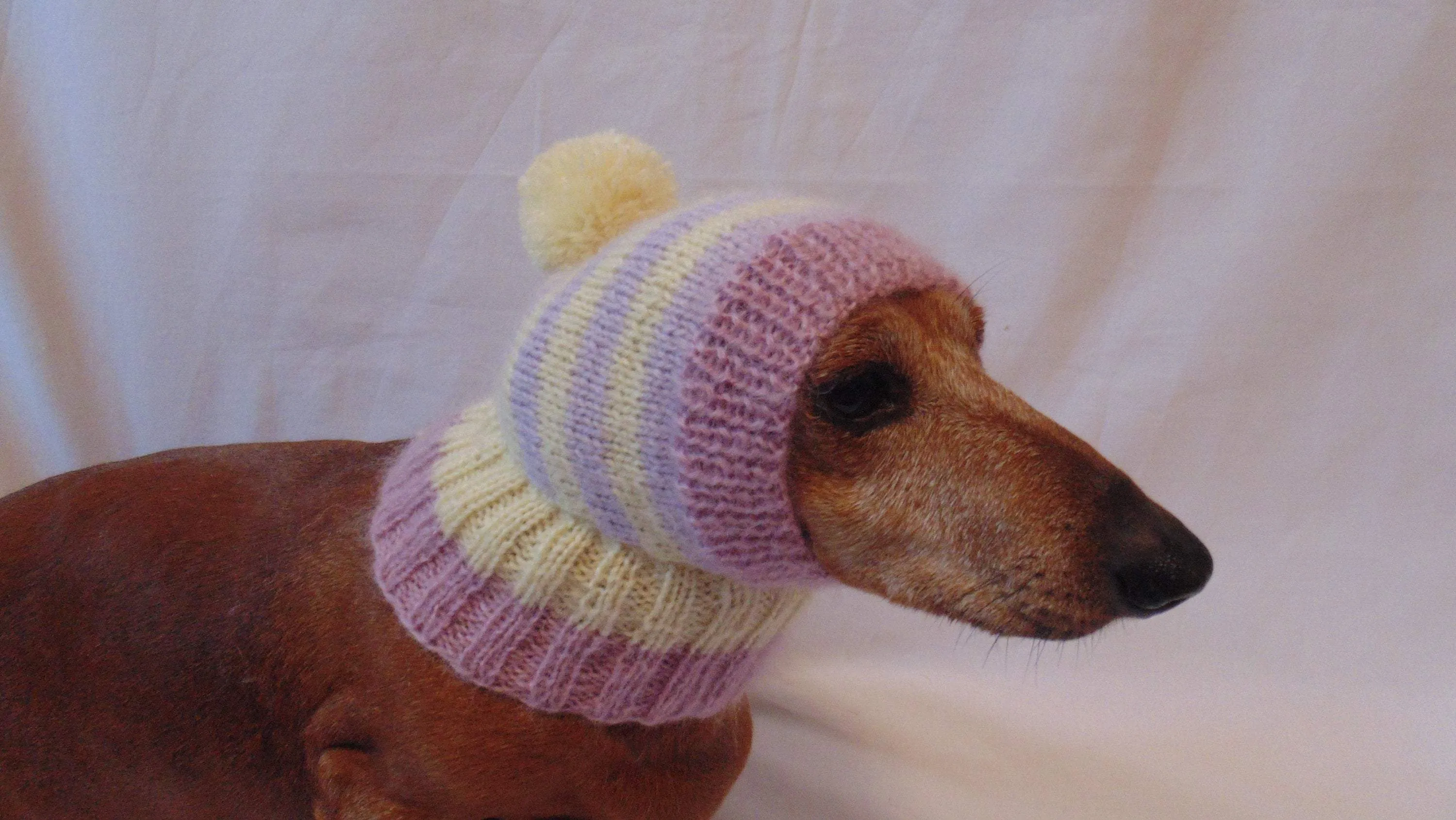 Hat dog Angora warm winter with pompom