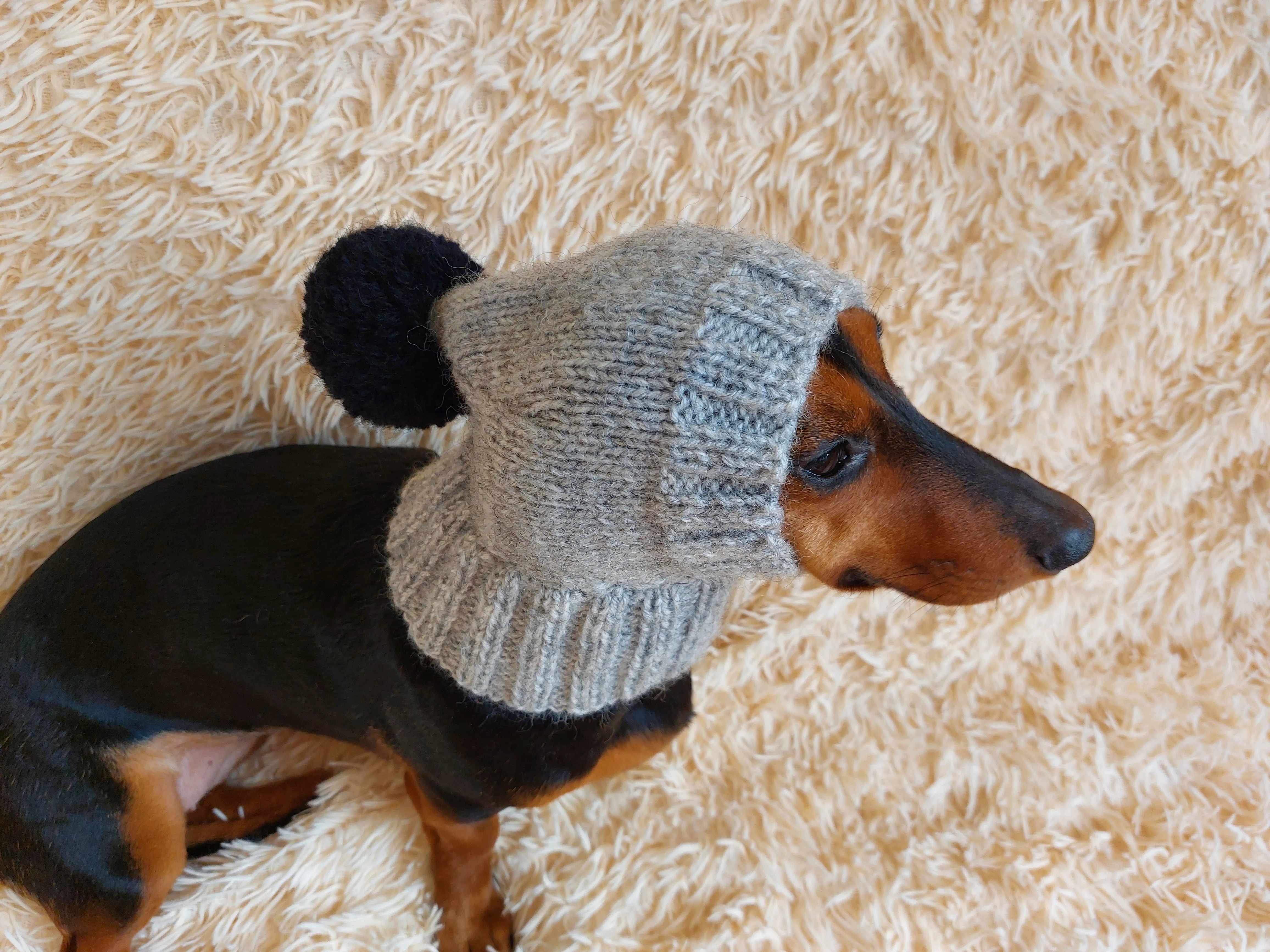 Knitted winter warm hat for a dog with wool down