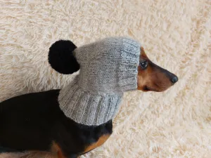 Knitted winter warm hat for a dog with wool down