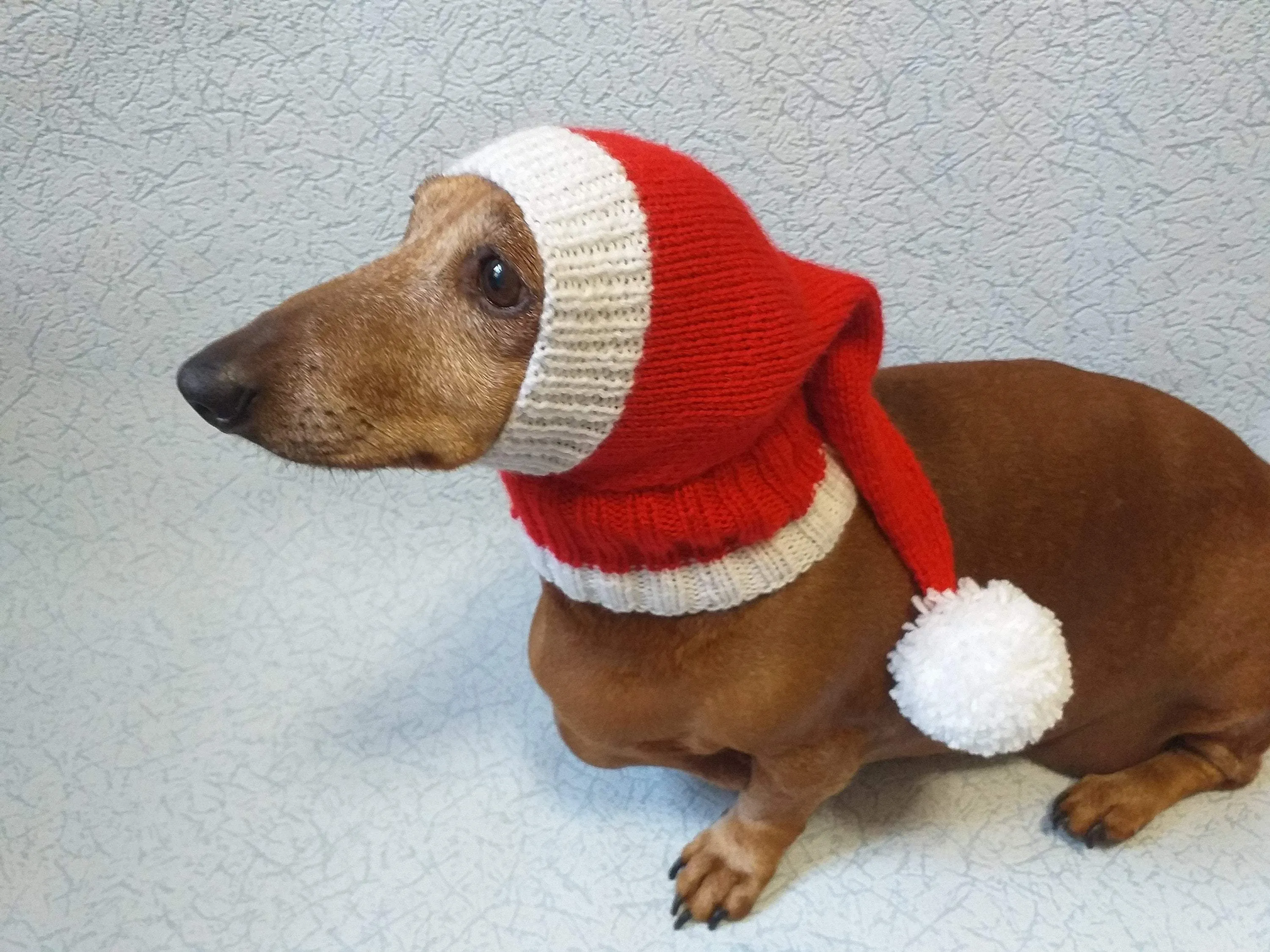 Santa hat for dog, christmas santa hat for dog, santa hat for dachshund