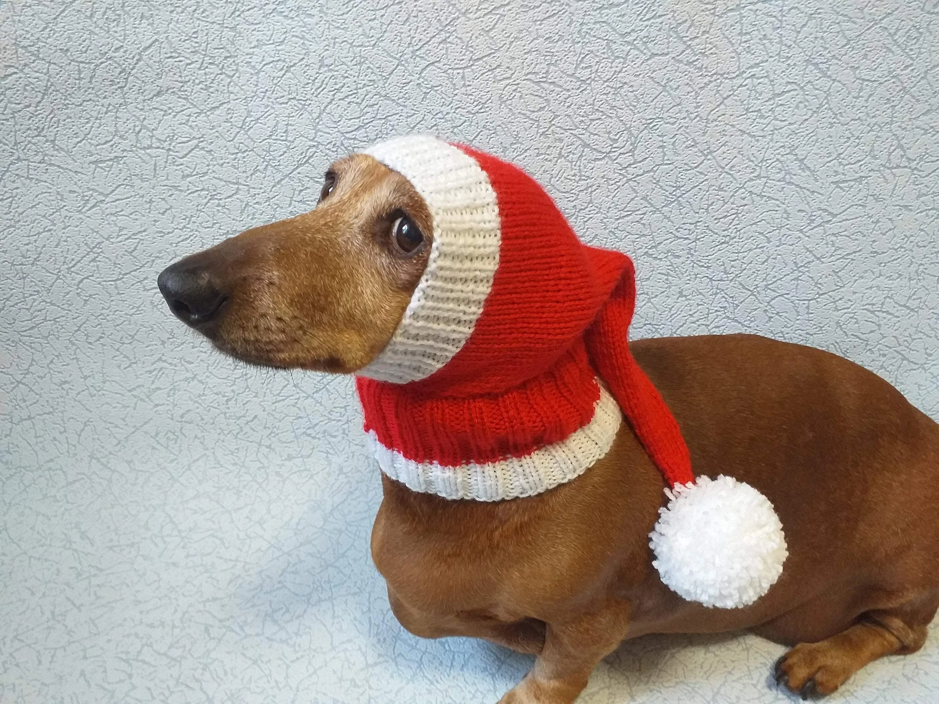 Santa hat for dog, christmas santa hat for dog, santa hat for dachshund