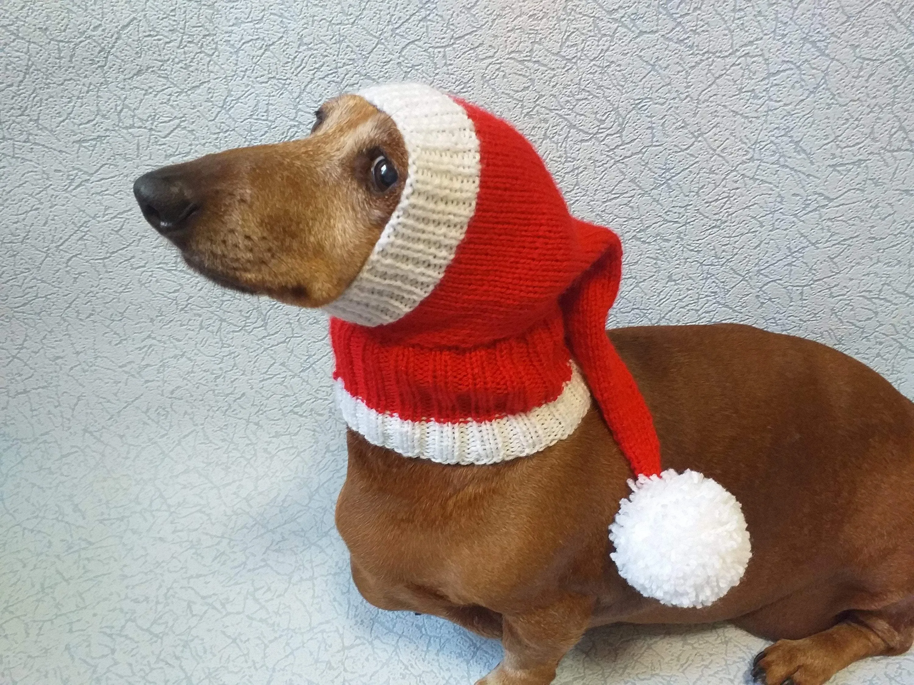 Santa hat for dog, christmas santa hat for dog, santa hat for dachshund