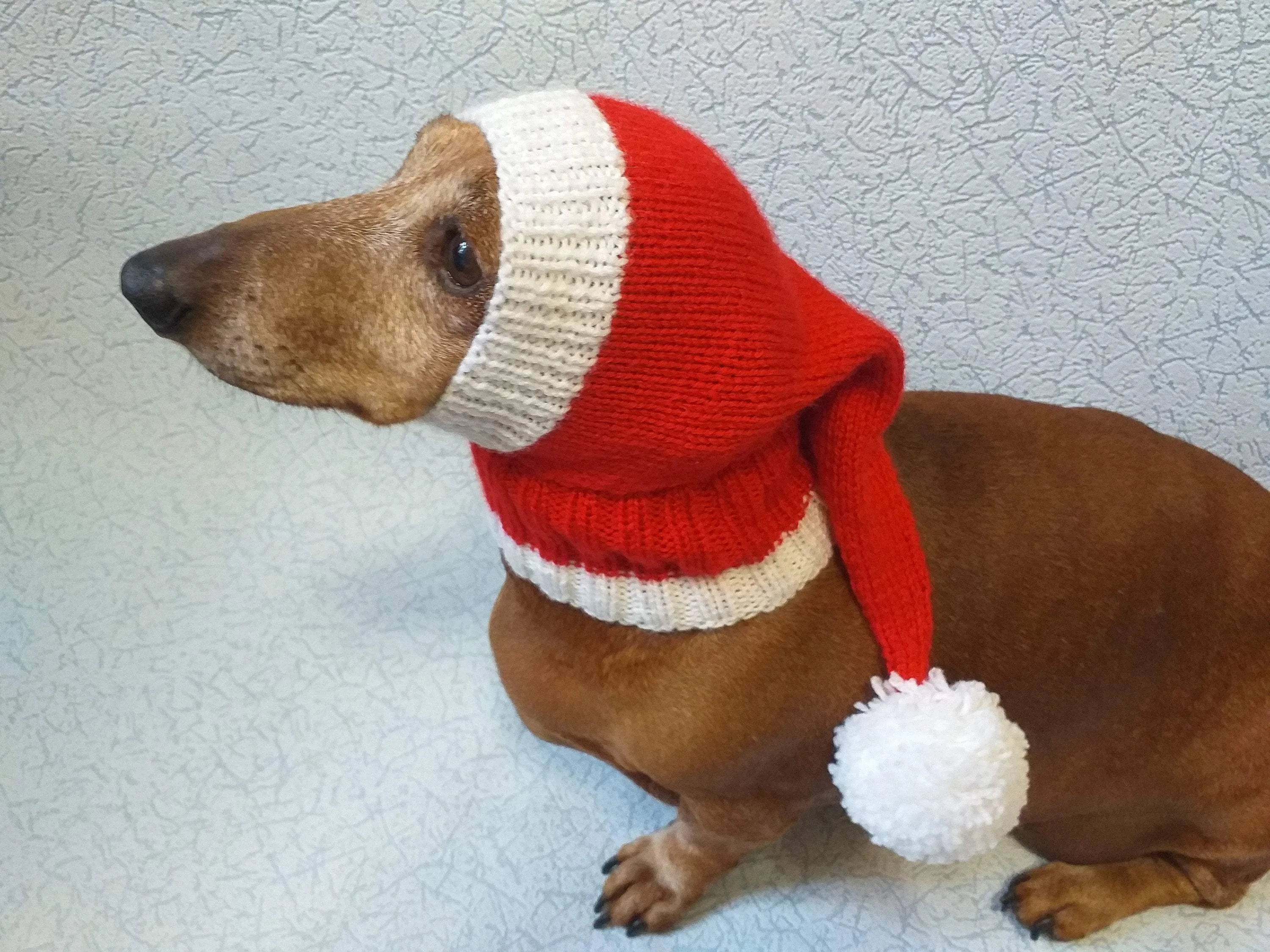 Santa hat for dog, christmas santa hat for dog, santa hat for dachshund