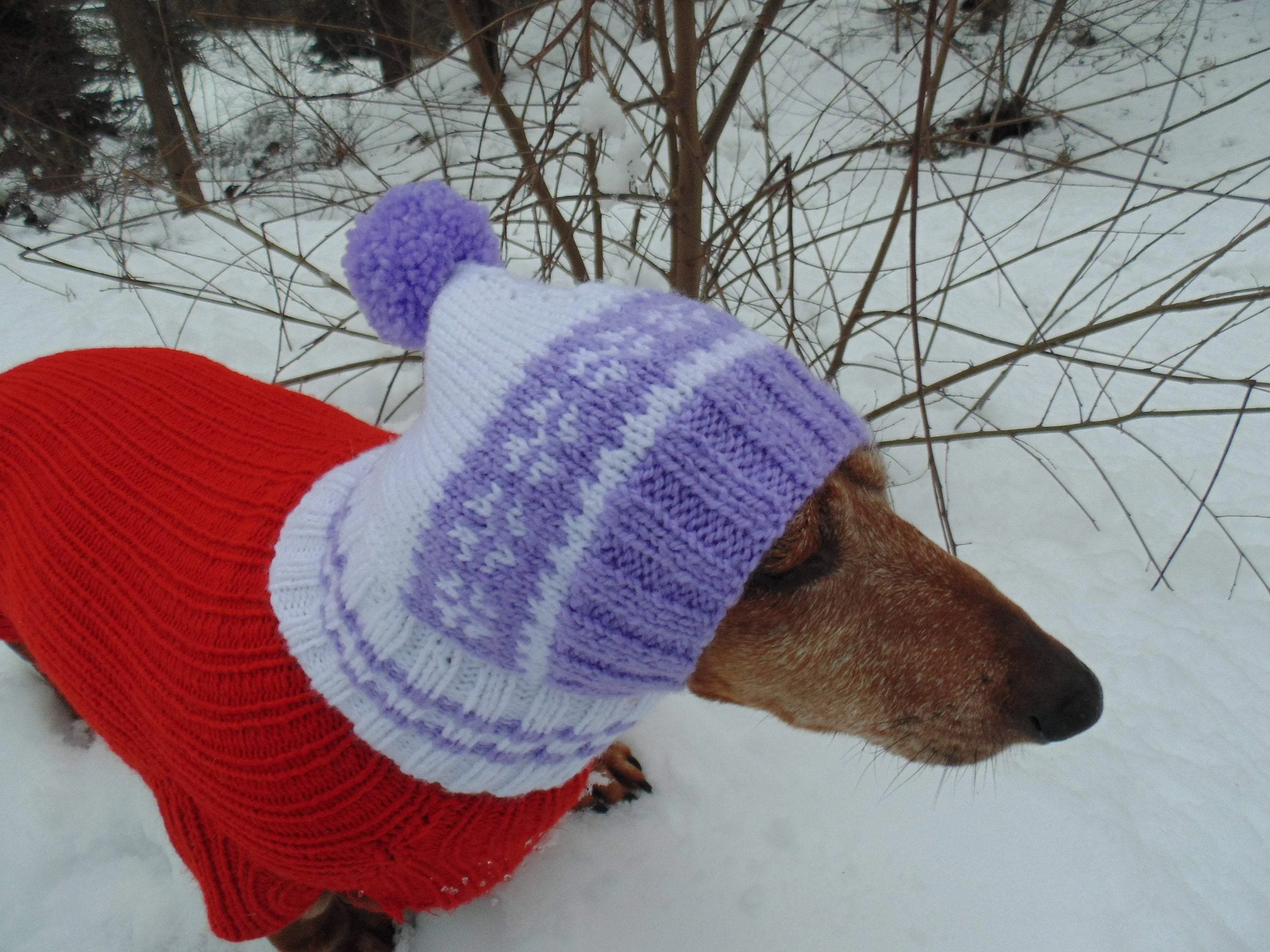 Warm hat for small handmade dogs