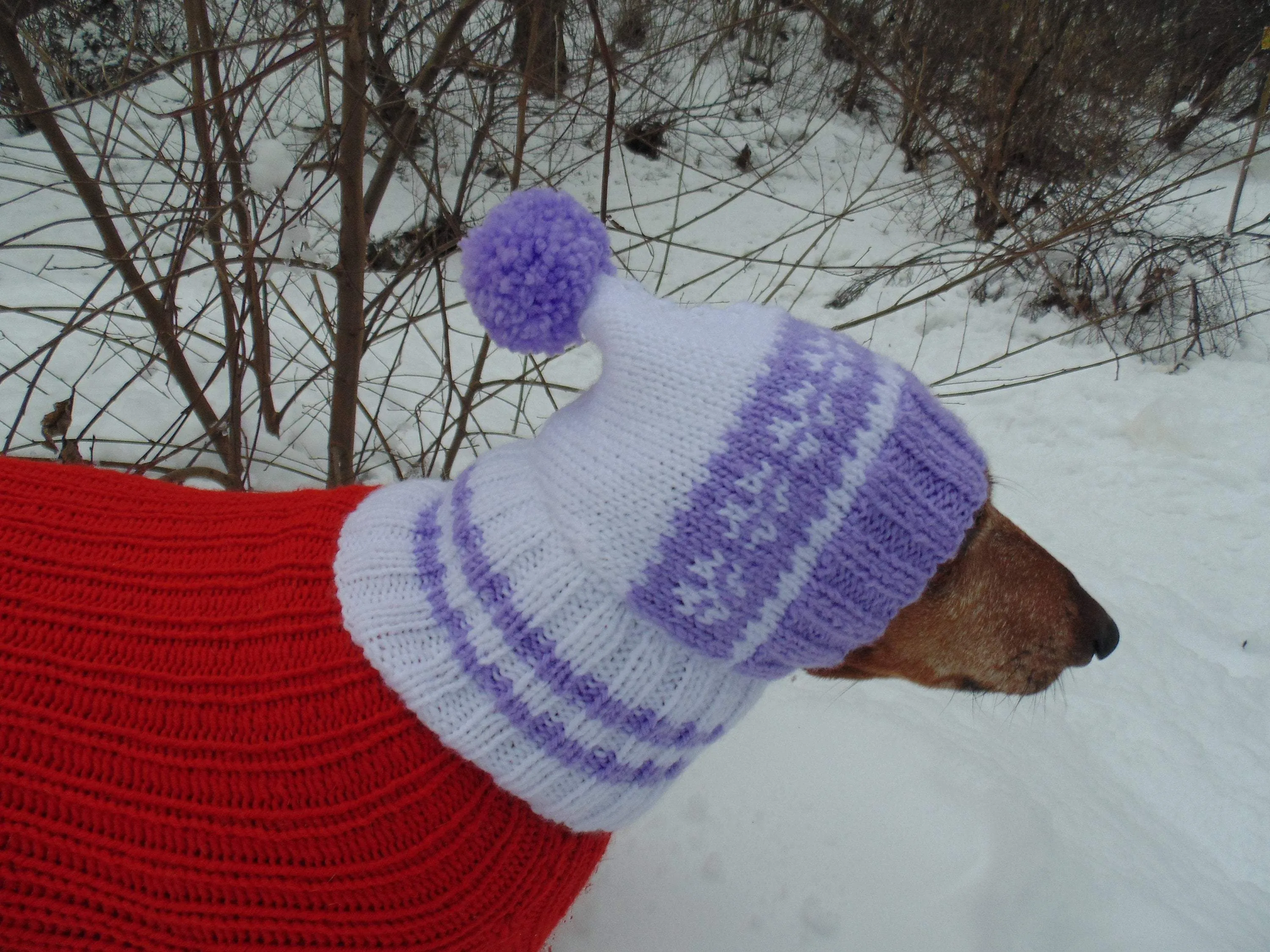 Warm hat for small handmade dogs