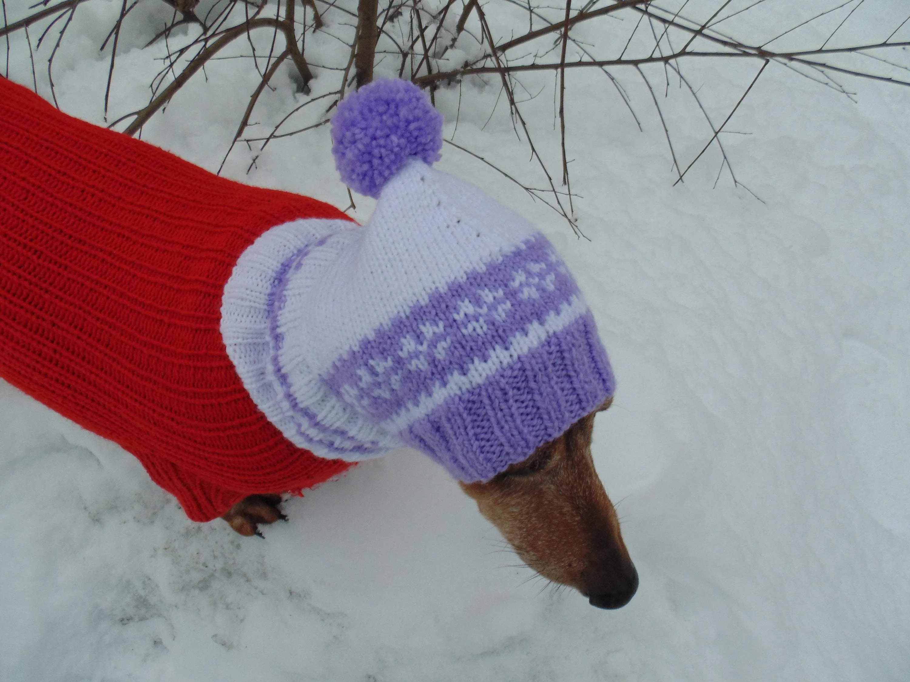 Warm hat for small handmade dogs